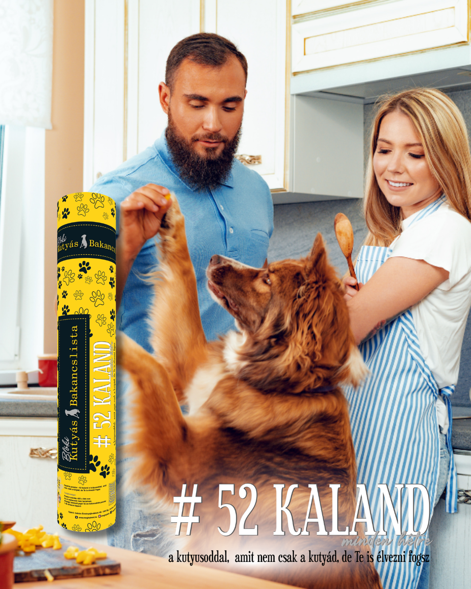 🐾 BLÖKI – 52 hét, 52 közös élmény kedvenceddel