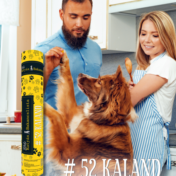 🐾 BLÖKI – 52 hét, 52 közös élmény kedvenceddel