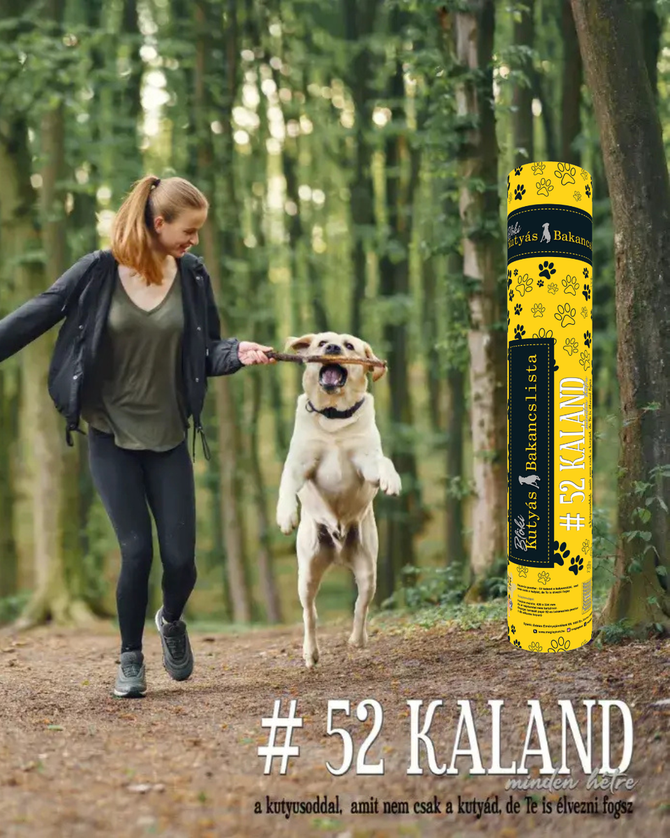 🐾 BLÖKI – 52 hét, 52 közös élmény kedvenceddel