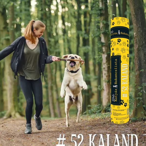 🐾 BLÖKI – 52 hét, 52 közös élmény kedvenceddel