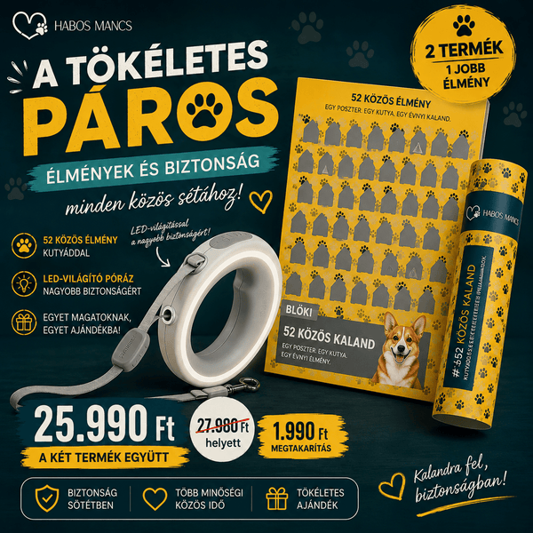A tökéletes páros: közös élmények és biztonságosabb séták 🐾 - Habos Mancs