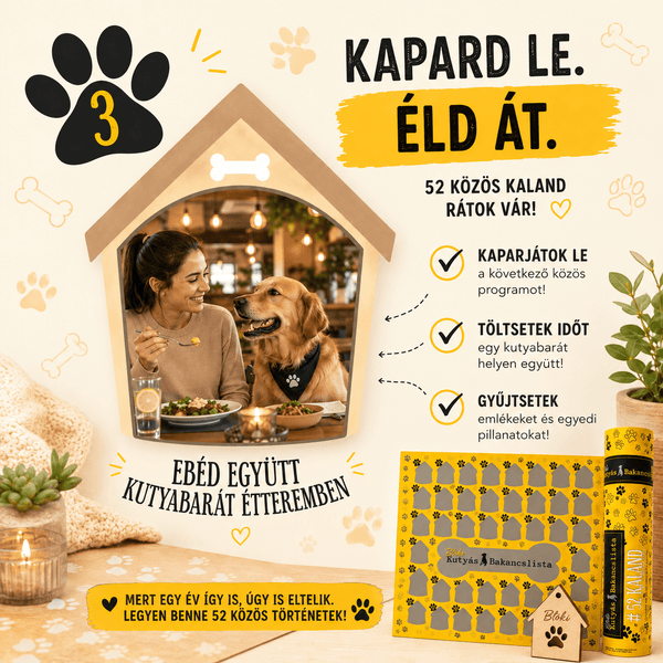 🐾 BLÖKI – 52 hét, 52 közös élmény kedvenceddel - Habos Mancs