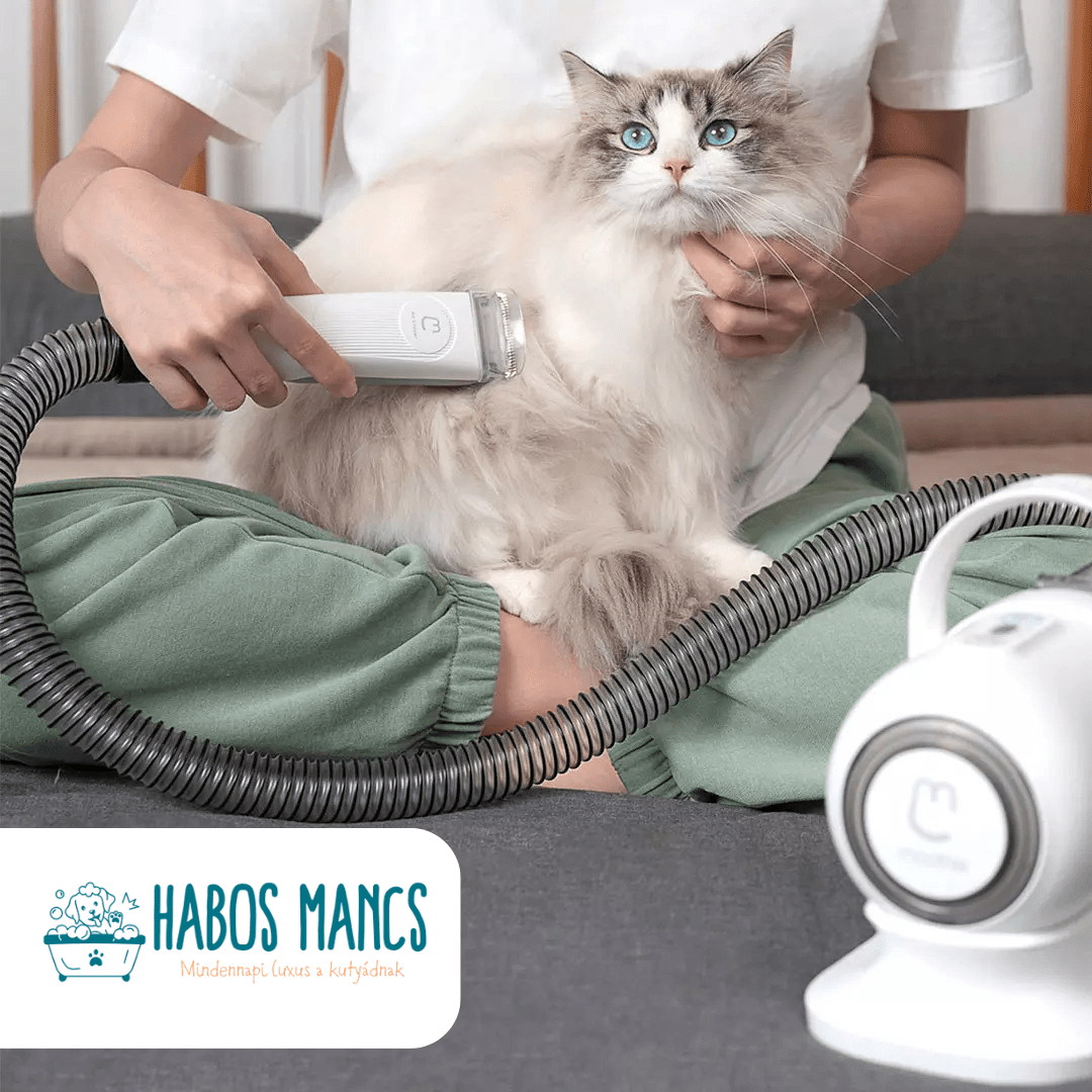 G2 Szőrmester – a szőrápolás új dimenziója kutyáknak és macskáknak - Habos Mancs