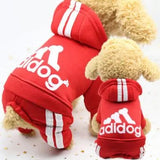 Kényelmes, meleg kutyaruha - Habos Mancs