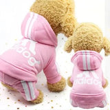 Kényelmes, meleg kutyaruha - Habos Mancs