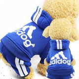 Kényelmes, meleg kutyaruha - Habos Mancs