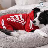 Puha, meleg kutyaruha a mindennapokra - Habos Mancs