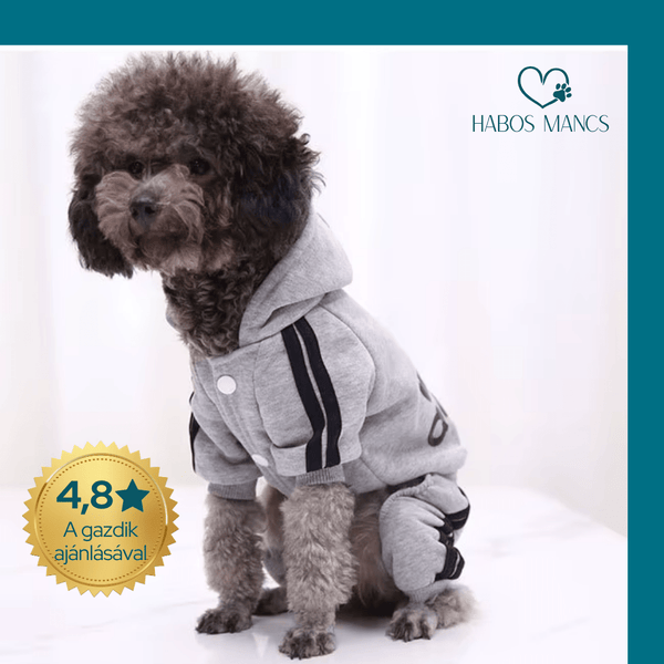 Puha, meleg kutyaruha a mindennapokra - Habos Mancs