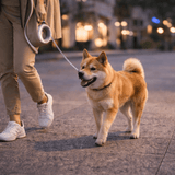 UFOGlow™ Okos Kutyapóráz - Habos Mancs