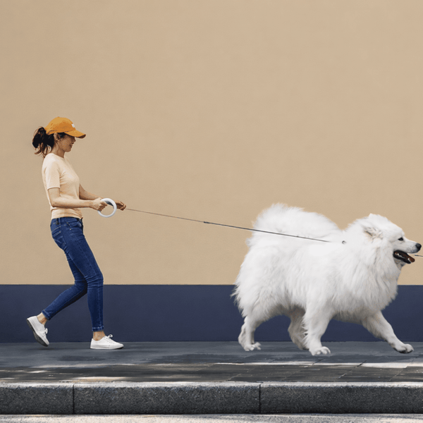 UFOGlow™ Okos Kutyapóráz - Habos Mancs